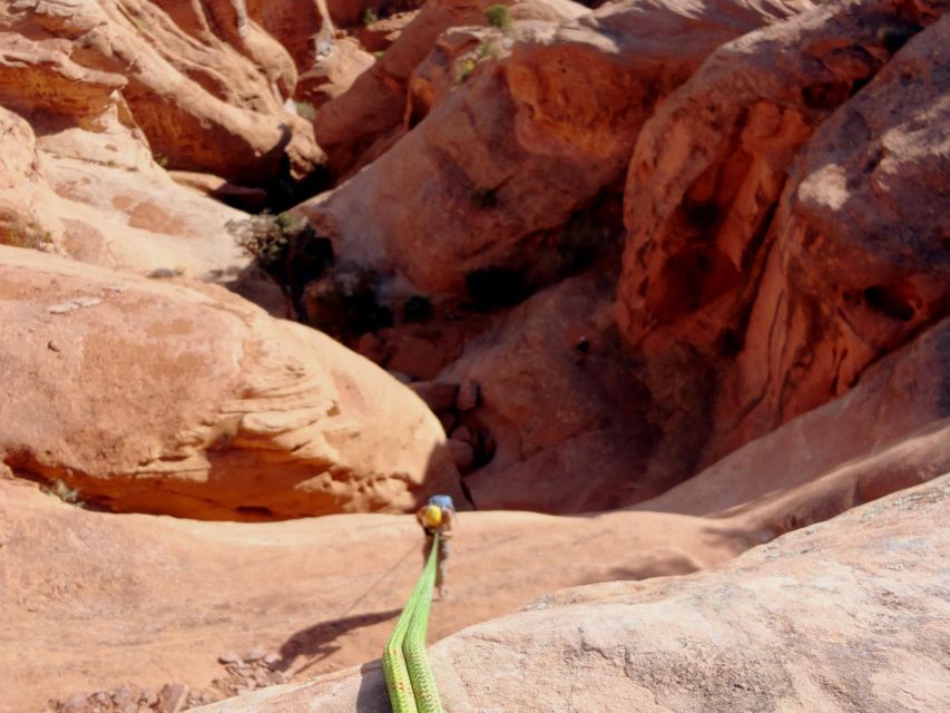 Moab: Morning or Afternoon Half-Day Rappelling Tour - Experience Highlights