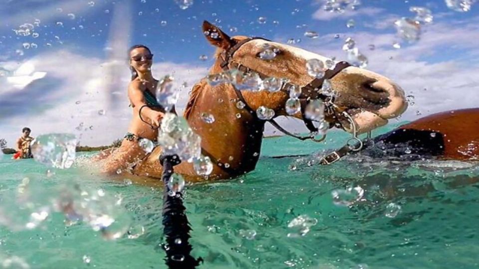 Montego Bay: Horseback Riding and Swimming Private Adventure - Experience Horseback Riding