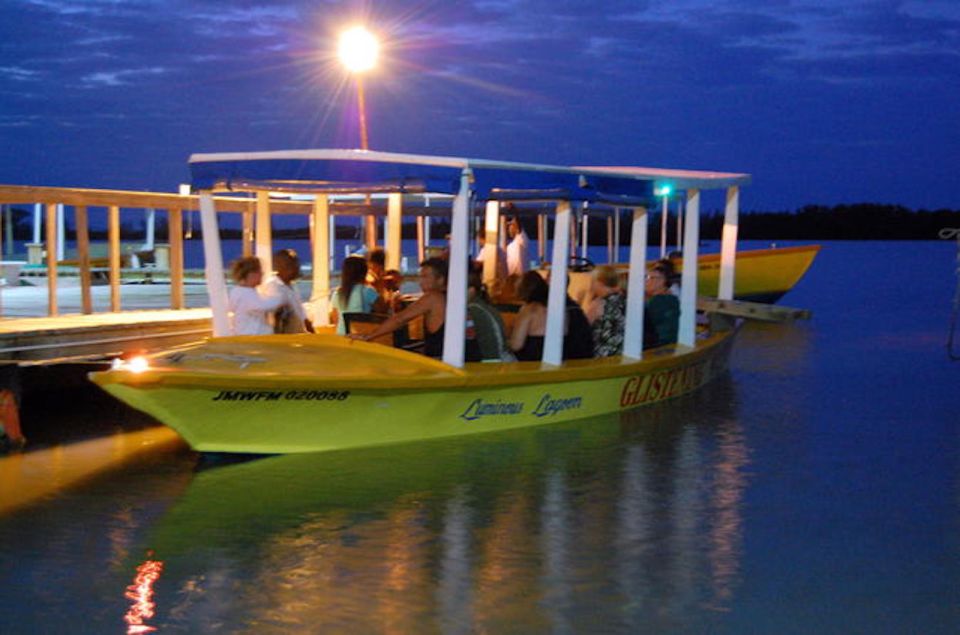 Montego Bay: Luminous Lagoon Night Tour by Boat - Customer Reviews