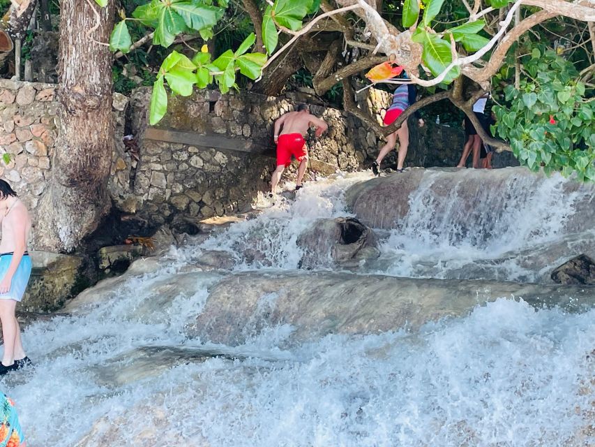 Montego Bay: Private Bob Marley and Dunn's River Falls Tour - Cancellation Policy
