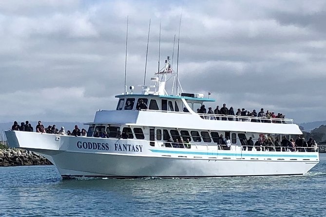 Monterey Bay Whale Watching - Whale Watching Tour Overview