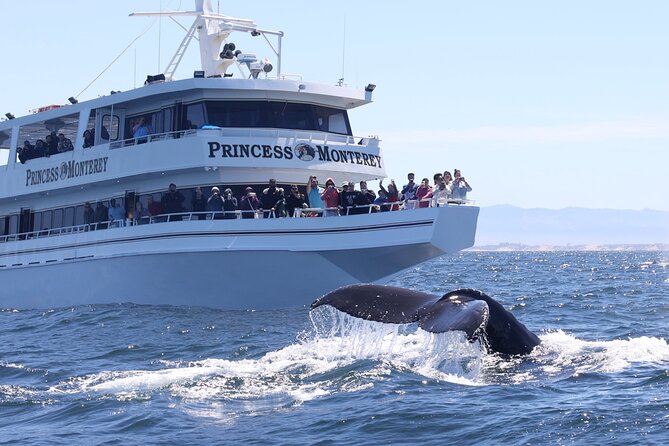 Monterey Whale Watching Tour - Customer Reviews