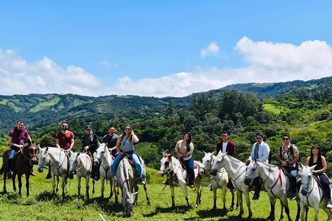 Monteverde Cloud Forest Horseback Riding - What to Expect on the Tour