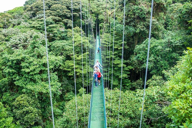 Monteverde Sky Tram & Hanging Bridges Cloud Forest Tour From San Jose - Traveler Feedback