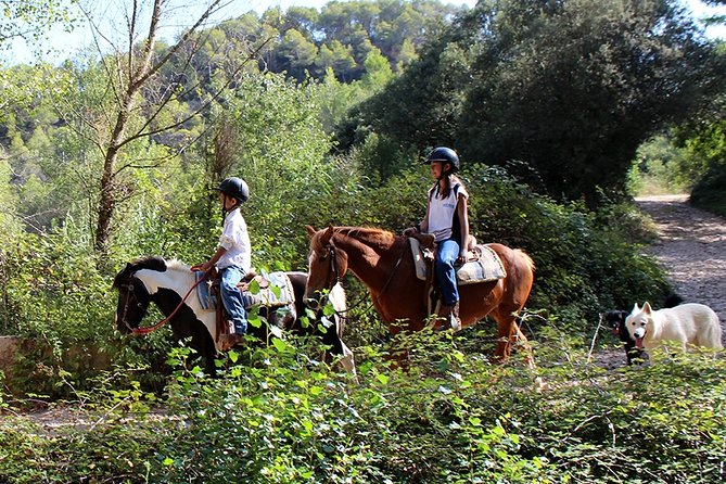 Montserrat Monastery & Horseback Riding - Cancellation Policy and Requirements