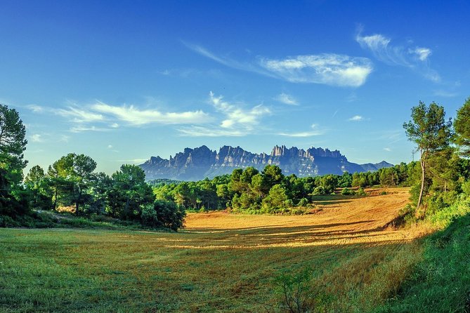 Montserrat Monastery Small Group or Private Tour Hotel Pick-Up - Traveler Tips