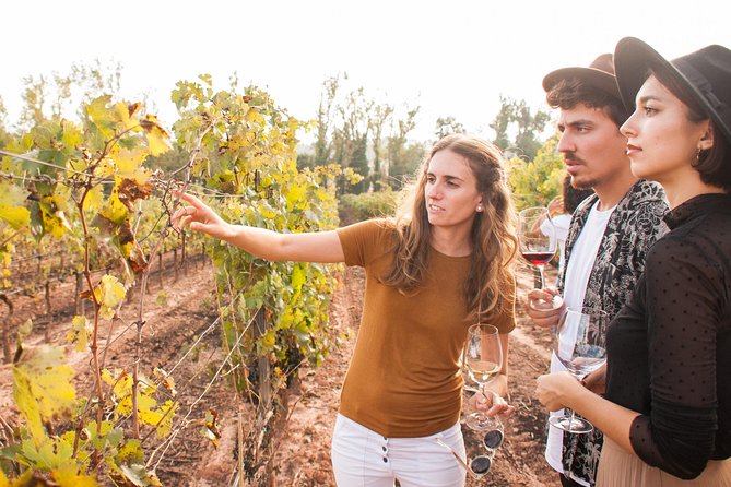 Montserrat With Cogwheel Train,Gourmet Wine Tasting & Tapas/Lunch - Inclusions