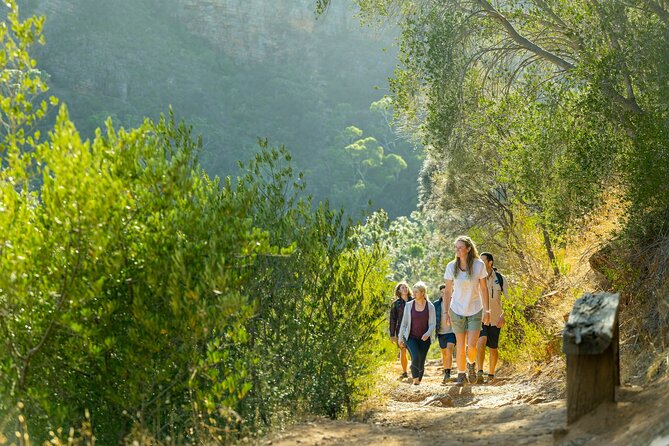 Morialta Wilderness and Wildlife Hike - What to Expect