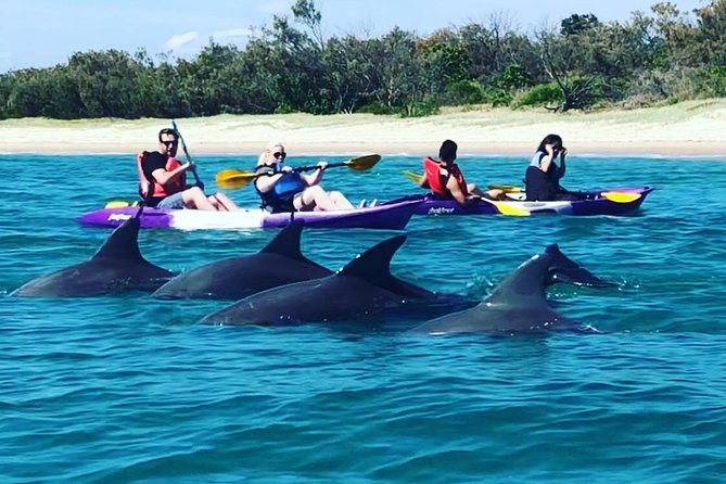 Morning Kayaking and Snorkeling Tour - Additional Info