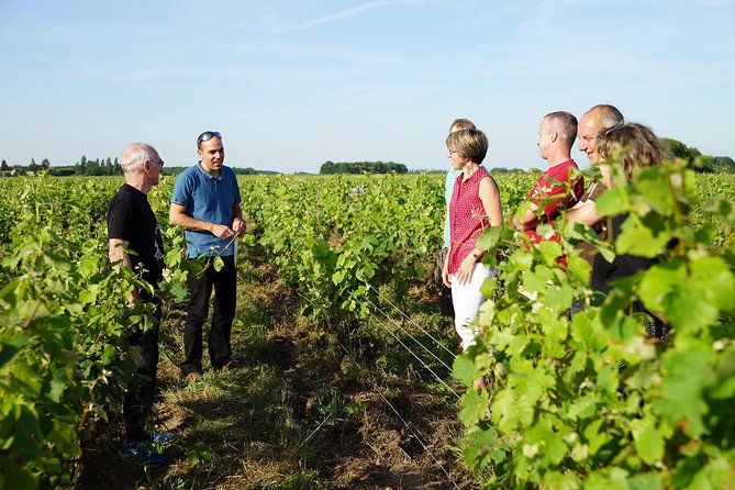 Morning - Loire Valley Wine Tour in Vouvray and Montlouis - Customer Feedback