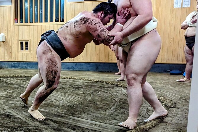 Morning Sumo Practice Viewing in Tokyo - Logistics