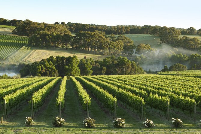Mornington Peninsula Wine and Food Day Tour From Melbourne - Wine Tasting Experiences