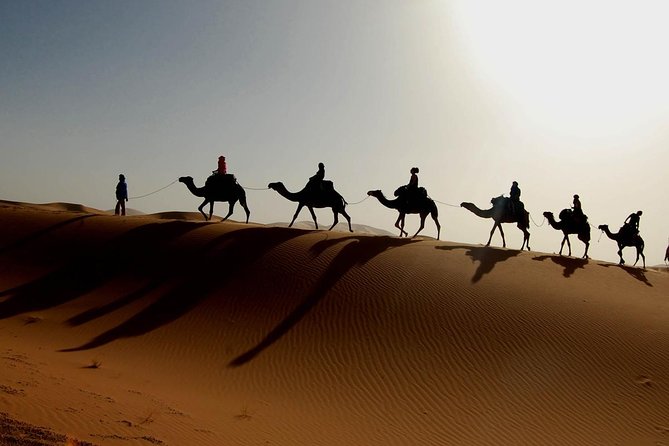 Morocco 3-Day Tour From Fez to Marrakech With Sahara Camp (Mar ) - Pricing and Booking Information
