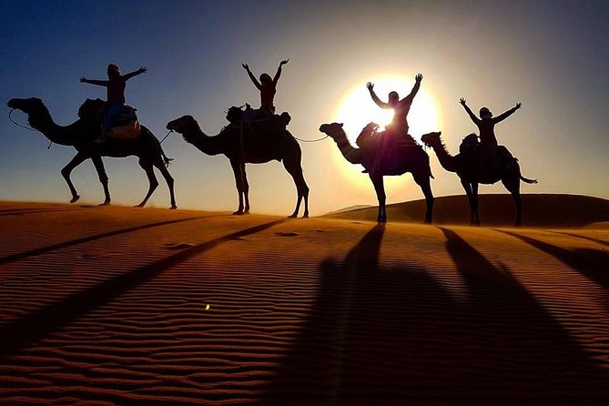 Morocco From Casablanca Private 11-Night Tour With Guide - Accommodation and Meals