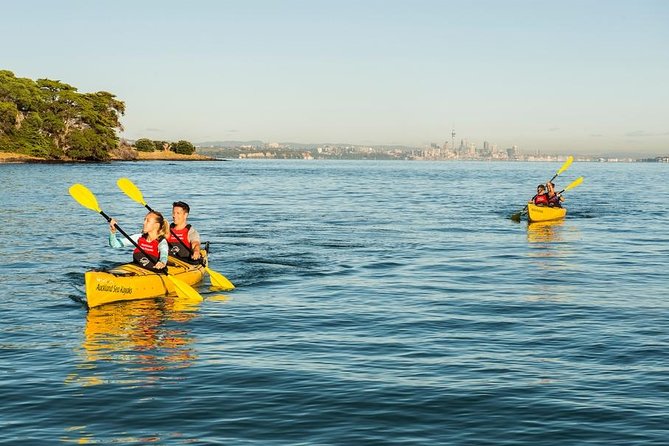 Motukorea / Browns Island Sea Kayak Journey - Participant Fitness Requirements