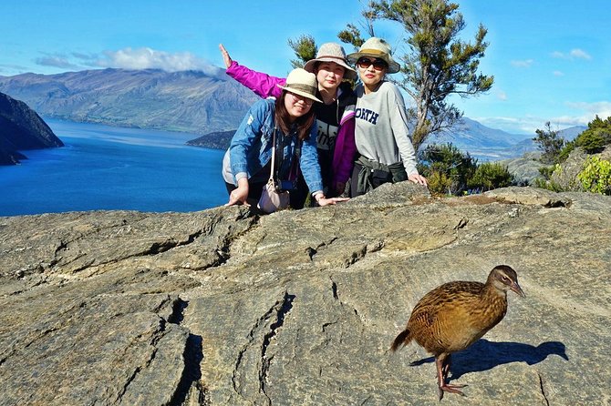 Mou Waho Island Cruise and Nature Walk From Wanaka - Meeting Point Details