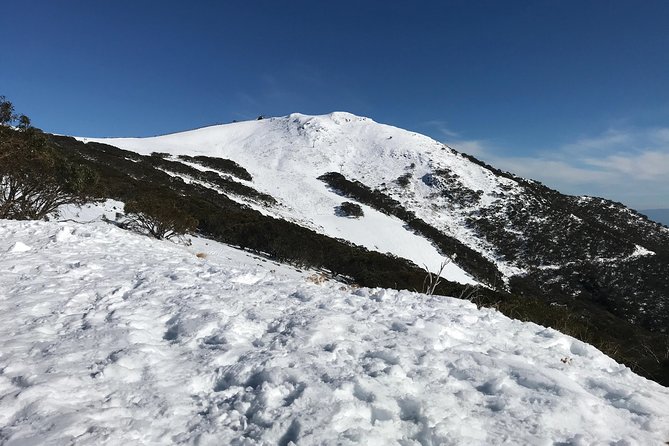 Mount Buller Snow Day Boutique Trip - Max 11 People - Schedule