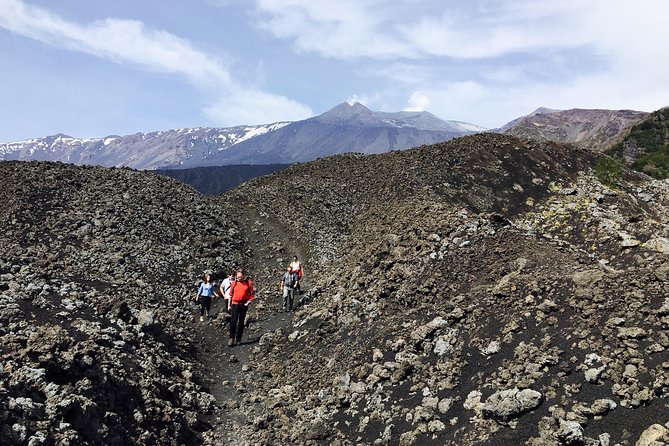 Mount Etna Half Day Jeep 4x4 Tour From Catania or Taormina - Traveler Reviews and Feedback