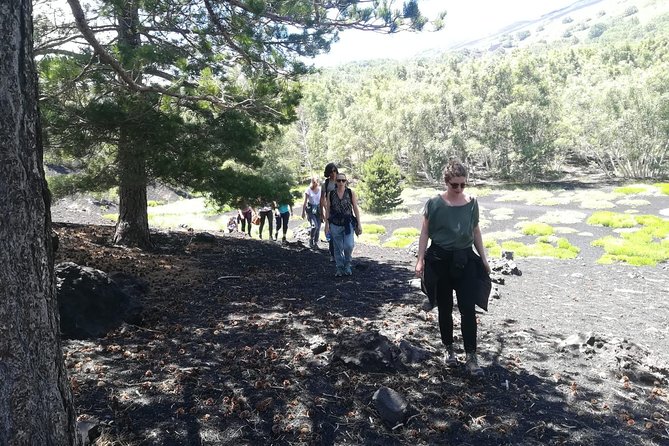 Mount Etna Half-Day Tour - Small Groups From Taormina - Positive Reviews and Highlights