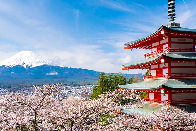 Mount Fuji Panoramic View & Shopping Day Tour - Transportation Details