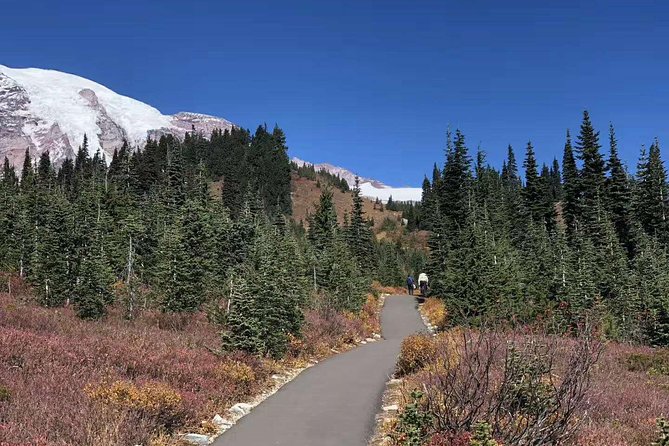 Mount Rainier National Park Day Tour From Seattle - Cancellation Policy