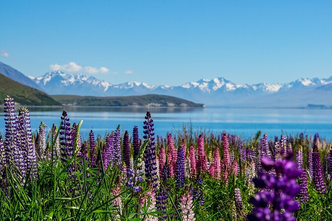 Mt Cook and Lake Tekapo Small Group Tour From Christchurch - Booking and Cancellation Policy