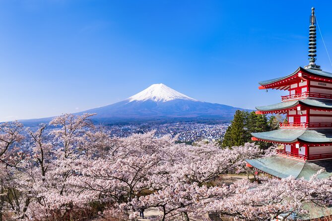Mt.Fuji and Hakone Tour - Customer Reviews