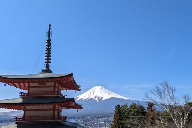 Mt. Fuji and Lake Kawaguchi Day Trip With English Speaking Driver - Vehicle Choices Available