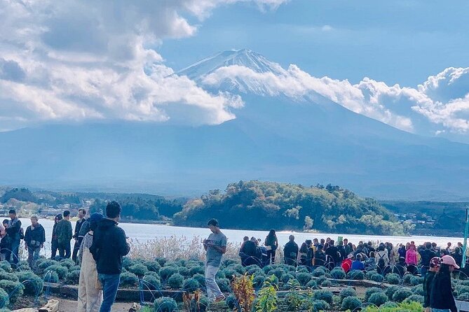 Mt. Fuji and Lake Kawaguchi Day Trip With English Speaking Driver - Customer Reviews and Feedback