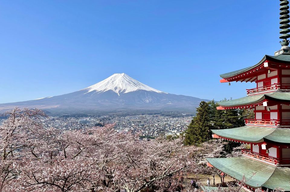Mt.Fuji Area, 1 Day Private Car Trip(English Guide Tour) - Itinerary Highlights