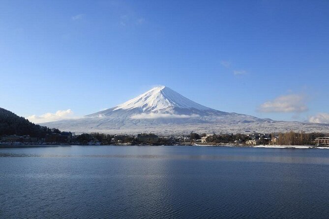 Mt. Fuji & Hakone 1 Day Bus Tour From Tokyo Station Area - Tour Inclusions