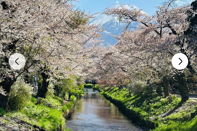 Mt. Fuji, Hakone Full-Day Private Tour With English Driver Guide - Seasonal Recommendations for Visiting Mt. Fuji