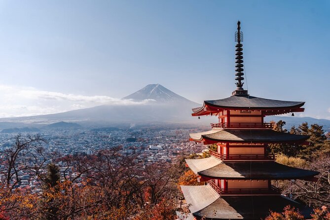 Mt Fuji, Hakone Private Tour by Car With Pickup - Vehicle Choices and Amenities