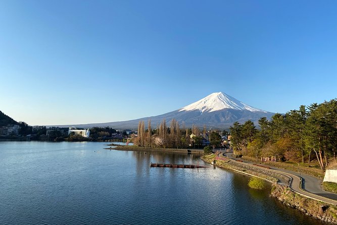 Mt Fuji Half-Day Tour By Car - Meeting and Pickup Information