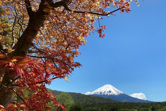 Mt Fuji Japanese Crafts Village and Lakeside Bike Tour - Meeting and Pickup Information