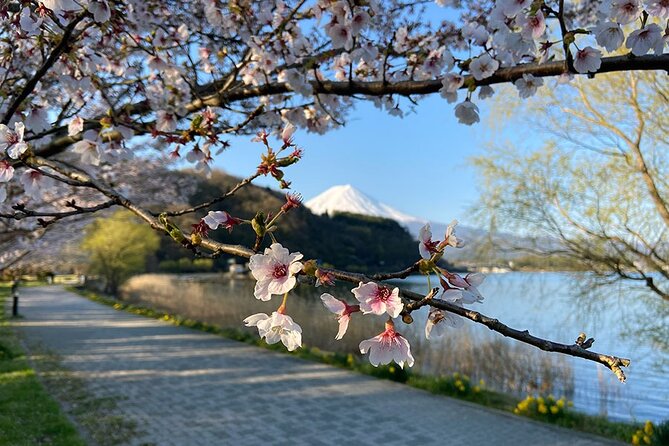Mt Fuji Lakeshores Full-Day Bike Tour - Tour Inclusions