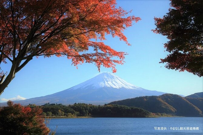 Mt.Fuji, Oishi Park & Arakurayama Sengen Park Bus Tour From Tokyo - Cancellation Policy