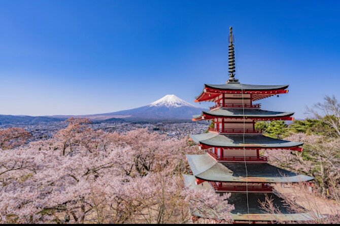 Mt. Fuji Private Sightseeing With Bilingual Chauffeur - Cancellation Policy