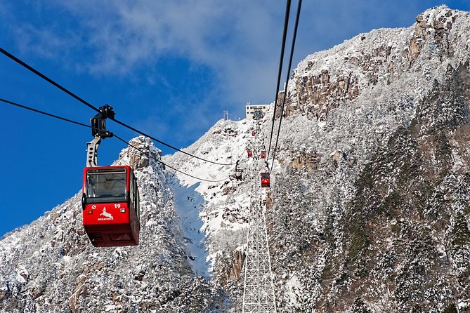 Mt. Gozaisho Ropeway,Nabana No Sato for Illumination and Begonia Garden! - Reviews