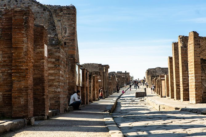 Mt. Vesuvius and Pompeii Day Trip From Naples All Inclusive - Inclusions and Logistics