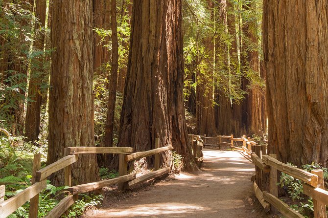 Muir Woods and Sausalito Small-Group Tour - Traveler Tips and Suggestions