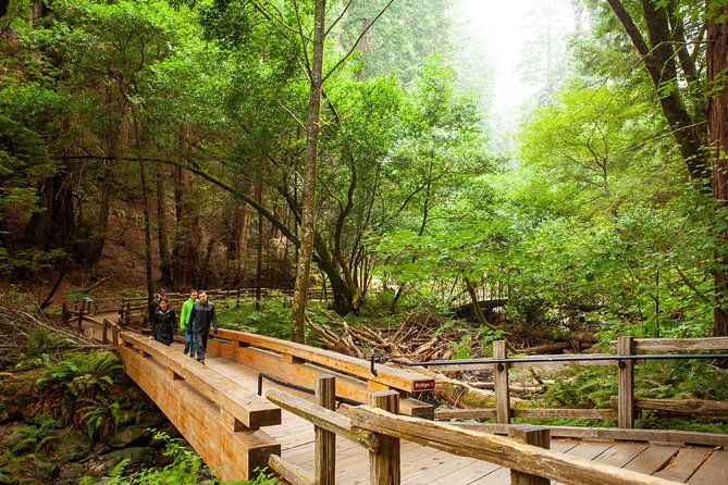 Muir Woods and Sausalito Tour Plus Bay Cruise - Tour Logistics and Experience