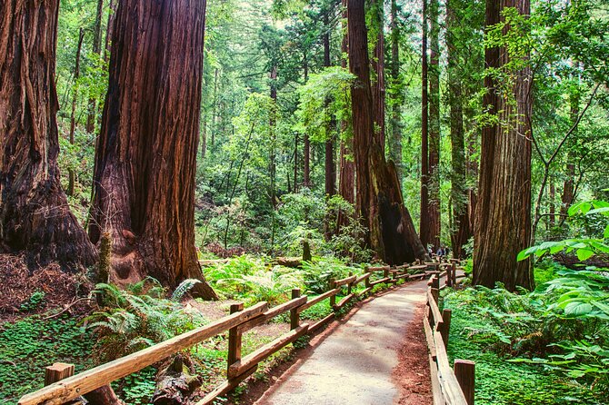 Muir Woods With Napa & Sonoma Wine Tour - Inclusions and Logistics