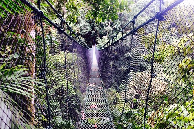 Mulguri Waterfalls and Local Farm Visit in Manuel Antonio (Mar ) - Booking and Reservation