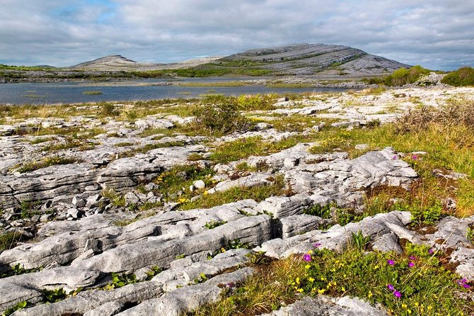 Mullaghmore Private Walk. the Burren, Co Clare. Guided. 2 Hours. - Additional Information and Terms