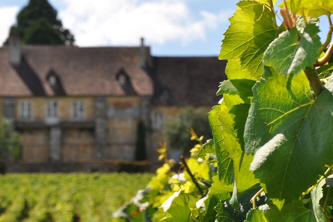 Multi Day Private Tour Prestige Burgundy With 12 Premiers & Grands Crus - Wine Tasting Experiences