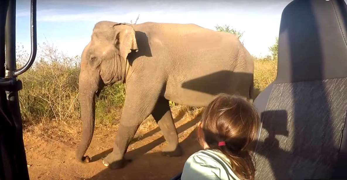 Multi-Day Tour: Udawalawe National Park Elephant Safari - Booking Information