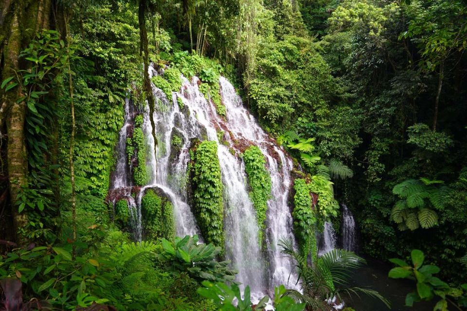 Munduk: Banyu Wana & Sekumpul Waterfall Trekking With Lunch - Customer Reviews