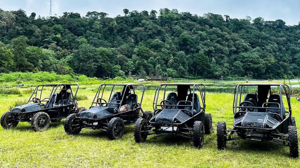 Munduk: Buggy Adventures With Picnic Lunch - Experience Highlights