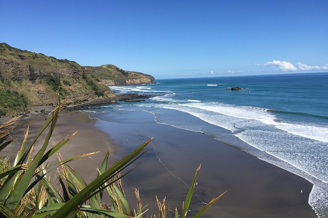 Muriwai Scenic Wine Tour From Auckland - Visitor Experiences